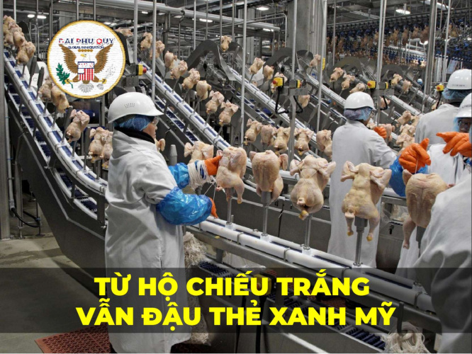 Cau Chuyen Thanh Cong 04